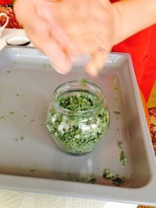 Oregano 12