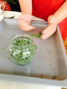Oregano 14