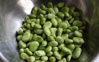 Broad Bean Maccu or Soup
