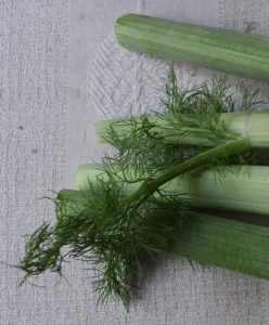 Fennel fronds