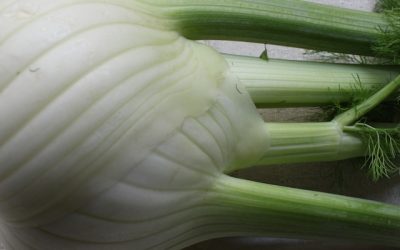Fennel