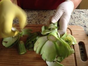 Artichoke process11