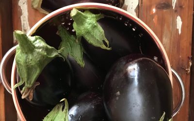 Eggplant Pesto